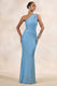 CL136985016 - Deity _ Powder Blue Embellished Asymmetric-Neck Maxi Dress With Open-Back2.jpg