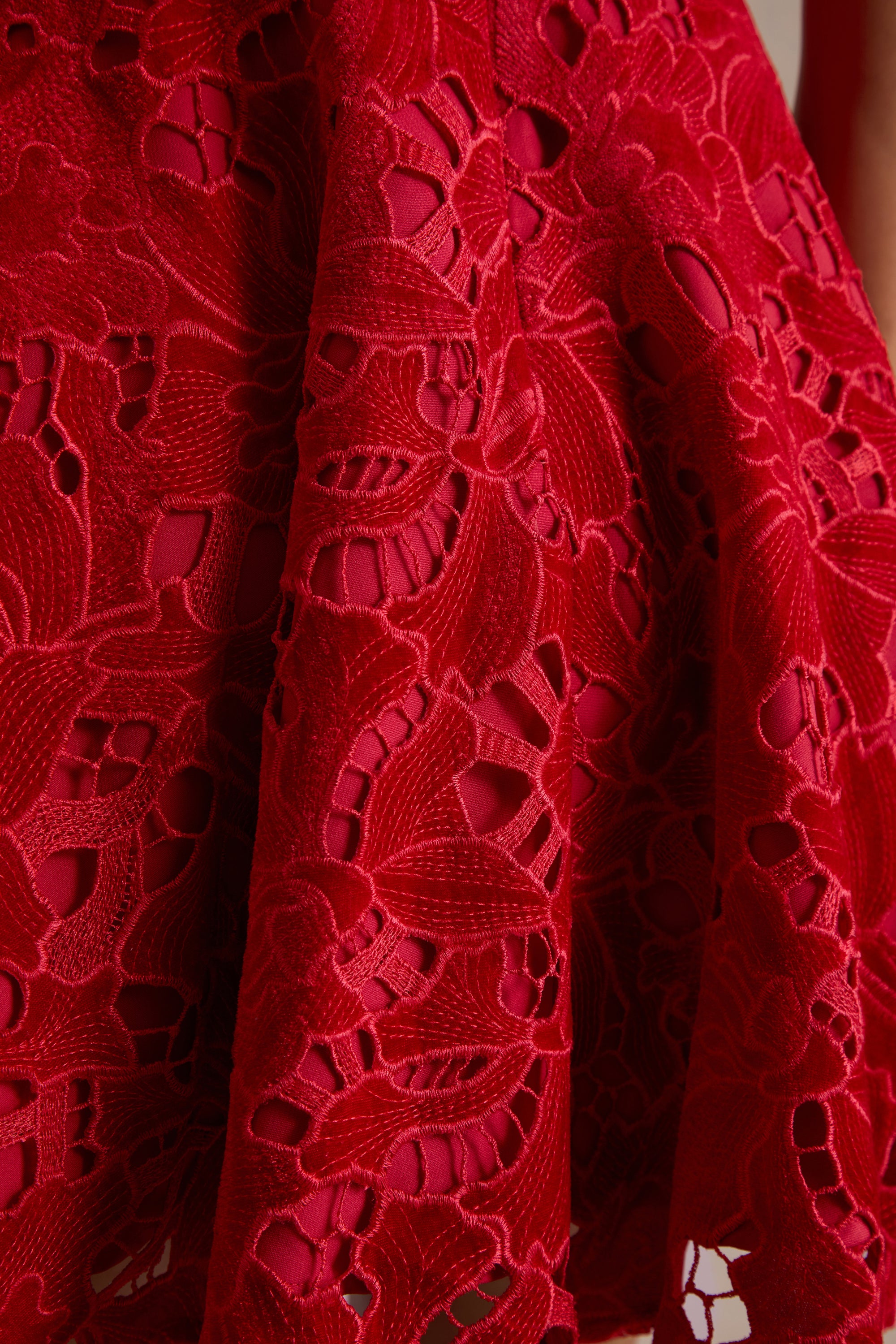 HR_CL136987004 - Roam Red Lace High-Neck Mini Dress 06.jpg